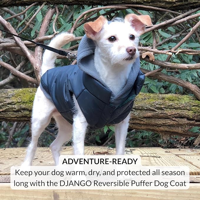 DJANGO Reversible Puffer Dog Coat – Warm Winter Dog Jacket & Water-Repellent Insulated Dog Coat w/Harness Hole, Windproof, Adjustable Fit for Small & Medium Dogs, Dachshunds – Twilight Blue, Large