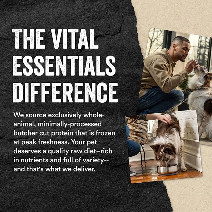Vital Essentials Freeze Dried Raw Protein Mix-in Dog Food Topper, Chicken Mini Nibs Topper for Dogs, 18 oz
