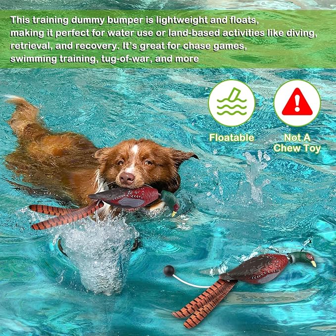 Archerest Dead Duck Dove Pheasant Dummy Bumper Toys for Waterfowl Hunting Retriever Dog Training, Floating Mallard Dummy Trainer Outdoor Soft Durable Realistic Fowl