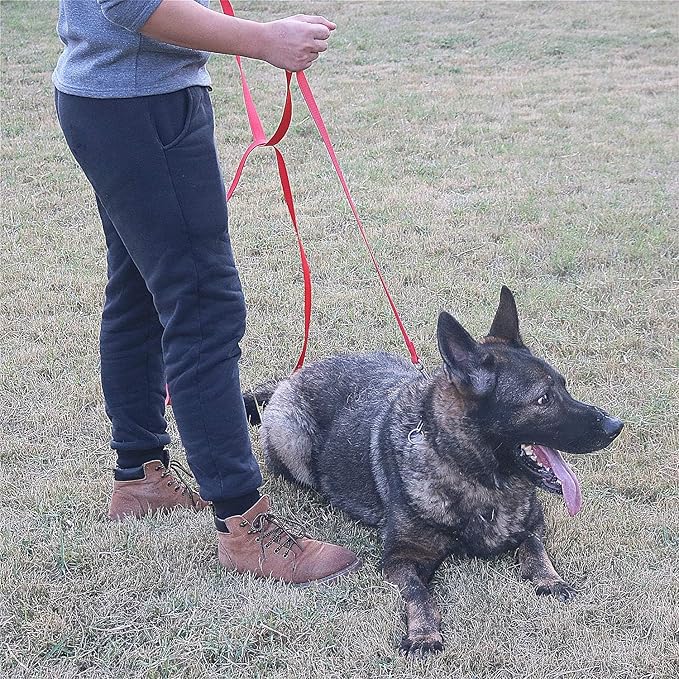 Dog/Puppy Obedience Recall Training Agility Lead - 15ft 20ft 30ft 40ft 50ft Training Leash - Great for Play, Camping, or Backyard (Military Green, 20 Feet)