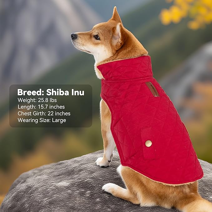 Dog Winter Coat, Dog Jacket with Warm Fleece Lined, Waterproof Windproof Dogs Cold Weather Coats Clothes for Puppy Dogs Snowsuit with Leash Hole, Red Small