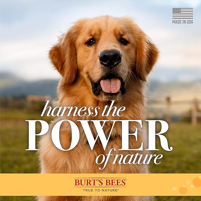 Burt's Bees for Pets Deodorizing Dog Shampoo with Apple and Rosemary, 95% Natural Origin Formulas, Gentle Canine Cleanser for Smelly Pups, 2 pk 16 oz
