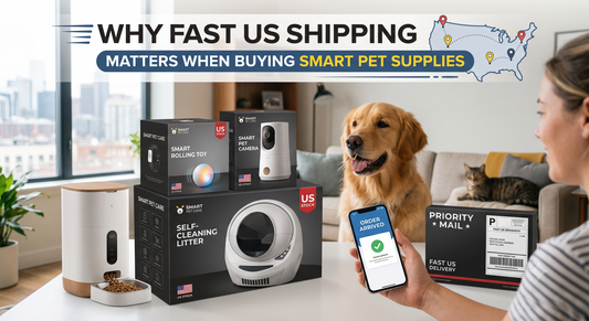 Why Fast US Shipping Matters When Buying Smart Pet Supplies