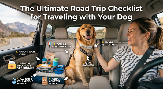 The Ultimate Road Trip Checklist for Traveling with Your Dog