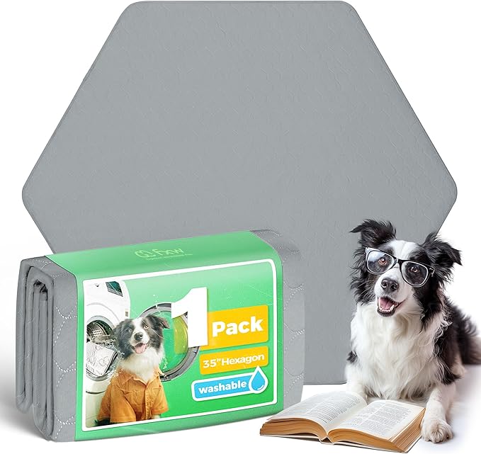 Litter & Housebreaking