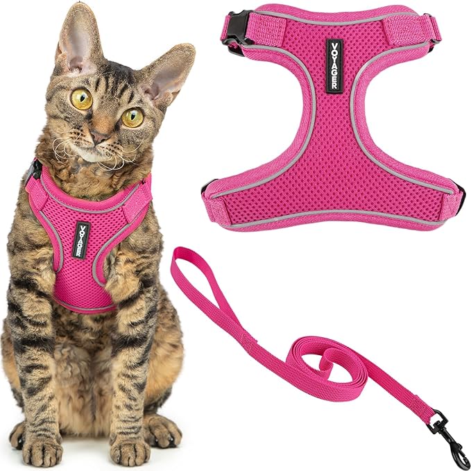 Collars