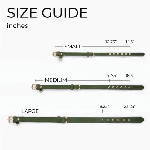 Two Tails Pet Company Cactus Vegan Leather Dog Collar, Adjustable Pet Collar with Gold Hardware and D Rings for Leash and ID Tag for Dogs and Puppies, Easy to Clean & Eco Friendly, Black, Size Large