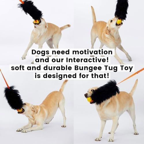 HOWGO Dog Rope,Dog Bungee Chaser 100% Sheepskin,Sheep Smell Tug for All Breeds(Orange, Long Without Ball 2Pack)