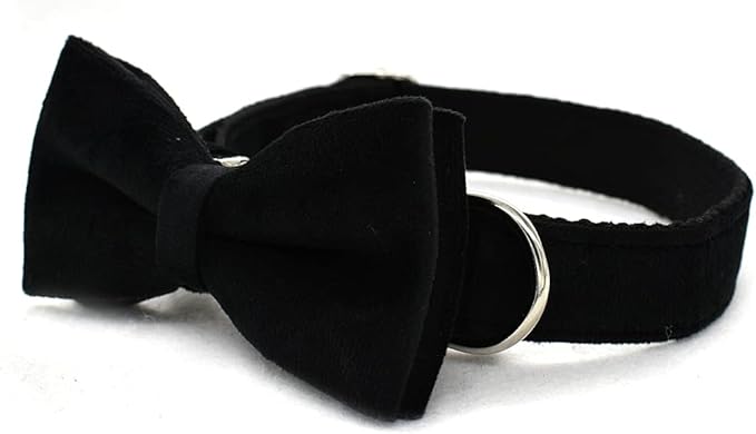 Dog Collar Custom Personalized Engraved Name and Phone Number for Puppy Small Medium Large Pets (M, Black)