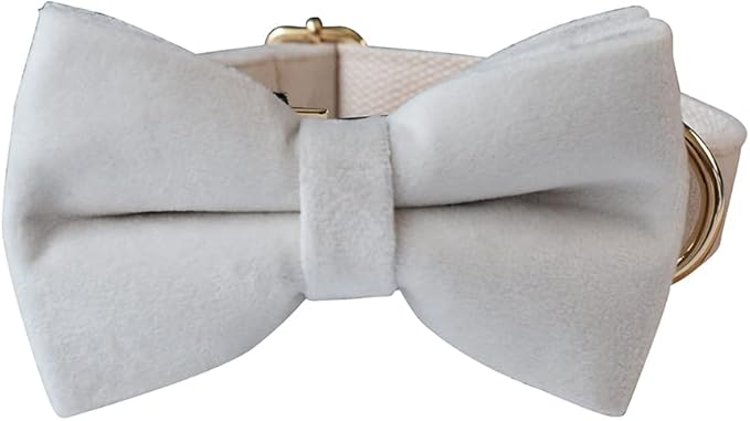 Dog Collar Custom Personalized Engraved Name and Phone Number for Puppy Small Medium Large Pets (M, Cream)