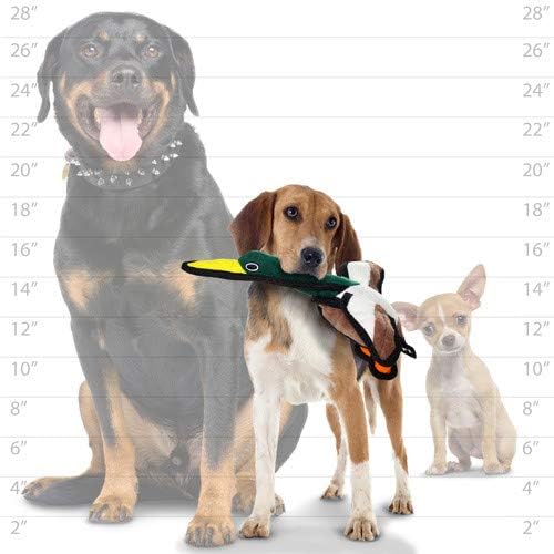 TUFFY - World's Tuffest Soft Dog Toy - Barnyard Duck - Squeakers - Multiple Layers. Made Durable, Strong & Tough. Interactive Play (Tug, Toss & Fetch). Machine Washable & Floats. (Combo Pack #2)