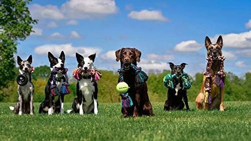 Mammoth Flossy Chews Color 3 Knot Rope Tug – Premium Cotton-Poly Rope Tug Toy for Dogs – Interactive Rope Dog Toy 20" - 2 Pack Assorted Colors