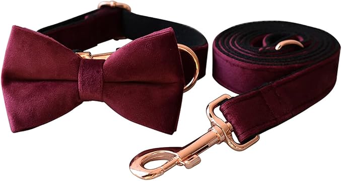 Dog Collar Custom Personalized Engraved Name and Phone Number for Puppy Small Medium Large Pets (S, Red Wine)