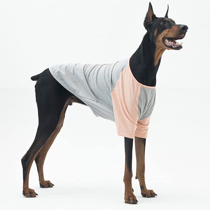 Dog Shirt for Small and Large Dogs Raglan Cotton T-Shirts Soft Breathable Dog Shirts pet Clothes Gray Series (X-Large, Gray/Peach)