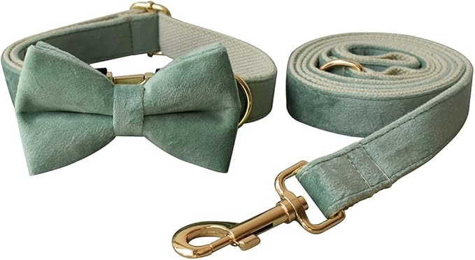 Dog Collar Custom Personalized Engraved Name and Phone Number for Puppy Small Medium Large Pets (L, Fruit Green)