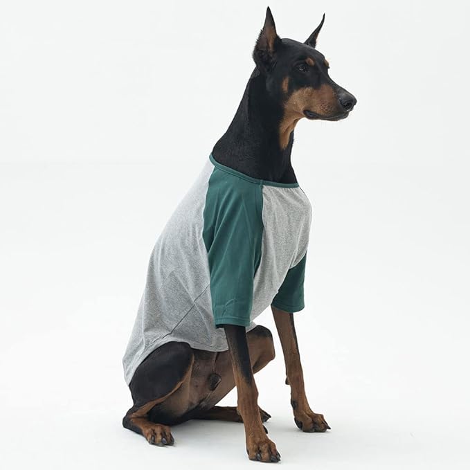 Dog Shirt for Small and Large Dogs - Raglan Cotton T-Shirt - Soft, Breathable - Gray/Green - 2X-Large