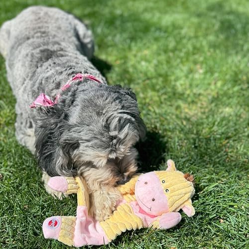 SPOT Soothers- Crinkle Paper Dog Toy-Separation Anxiety Toys for Dogs, Stuffing Free, Scented with Calming Lavender Fragrance Beads to Safely Calm & Relax Dogs and Puppies, 13in