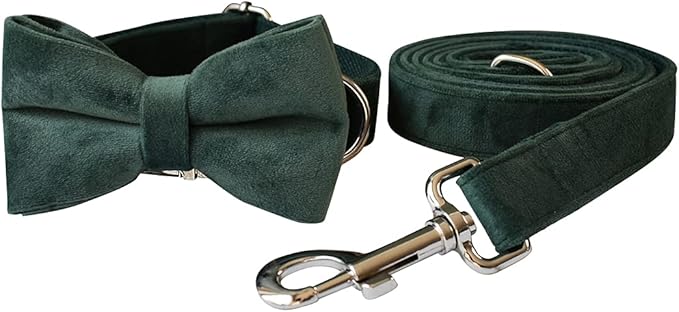 Dog Collar Custom Personalized Engraved Name and Phone Number for Puppy Small Medium Large Pets (S, Green)