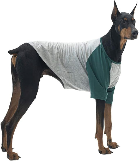 Dog Shirt for Small and Large Dogs Raglan Cotton T-Shirts Soft Breathable Dog Shirts pet Clothes Gray Series (X-Large, Gray/Green)