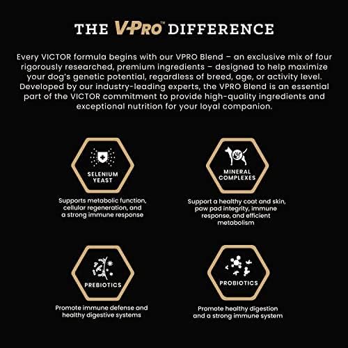 VICTOR Super Premium Dog Food – High Energy Dry Dog Food for Active Dogs – Gluten Free Canine Kibble with Beef and Chicken Meal Proteins for Sporting Dogs – All Breeds and All Life Stages, 5 lb