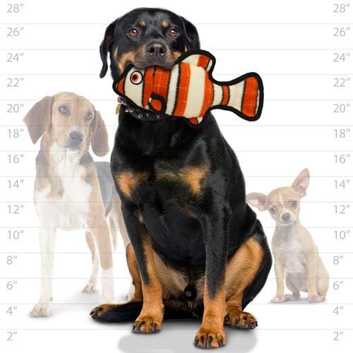 TUFFY - World's Tuffest Soft Dog Toy - Ocean Stingray - Squeakers - Multiple Layers. Made Durable, Strong & Tough. Interactive Play (Tug, Toss & Fetch). Machine Washable & Floats. (2 Combo Pack)