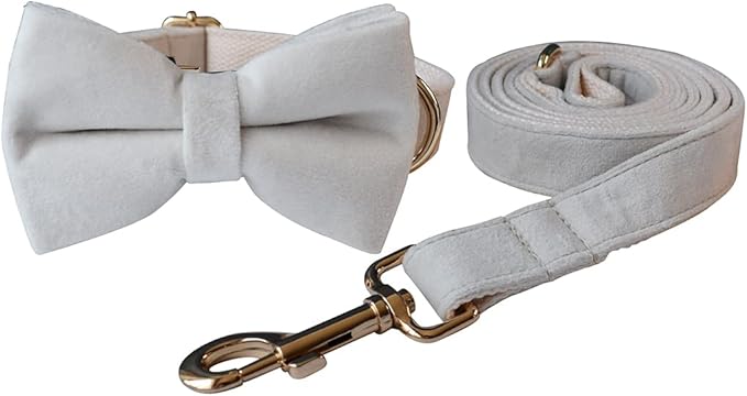 Dog Collar Custom Personalized Engraved Name and Phone Number for Puppy Small Medium Large Pets (S, Cream)