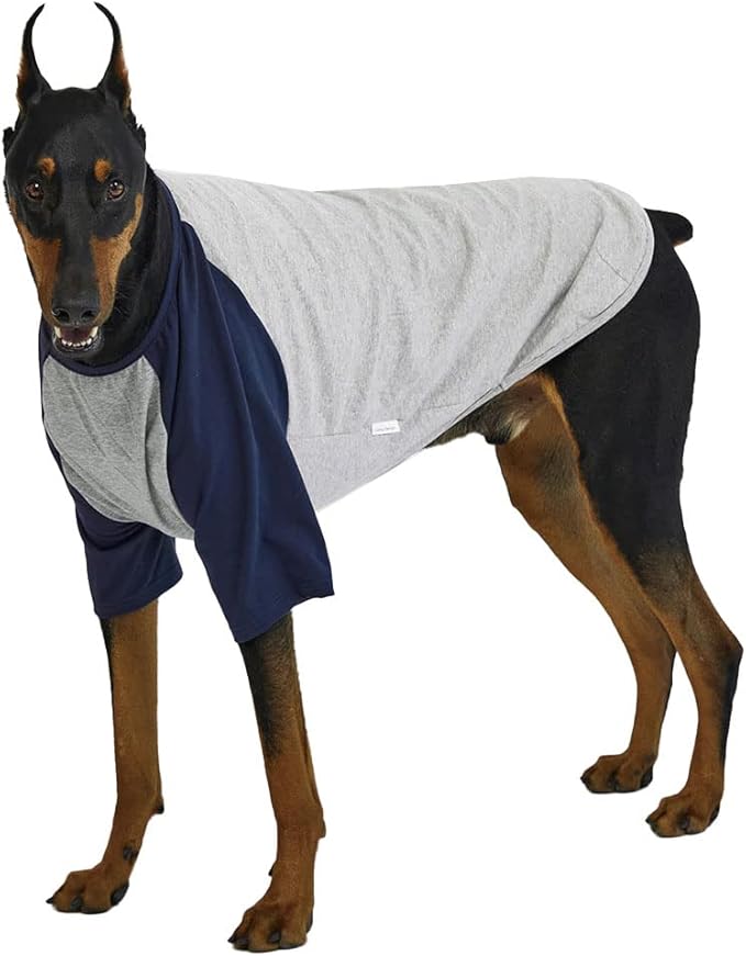 Dog Shirt for Small and Large Dogs Raglan Cotton T-Shirts Soft Breathable Dog Shirts pet Clothes Gray Series (4X-Large, Gray/Navy)