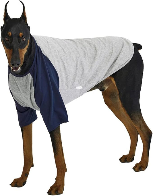 Dog Shirt for Large Dogs, Gray/Navy, X-Large, Cotton, Breathable, Lightweight, Raglan, Round Neck