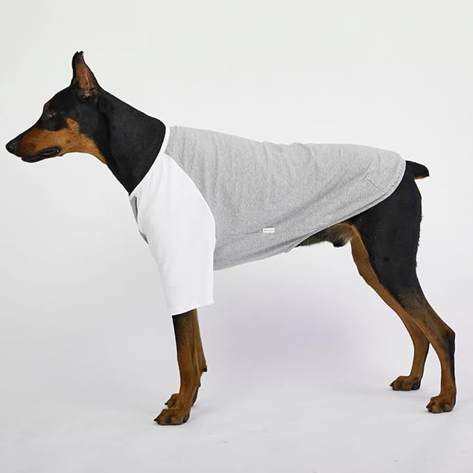 Dog Shirt for Small and Large Dogs Raglan Cotton T-Shirts Soft Breathable Dog Shirts pet Clothes Gray Series (5X-Large, Gray/White)