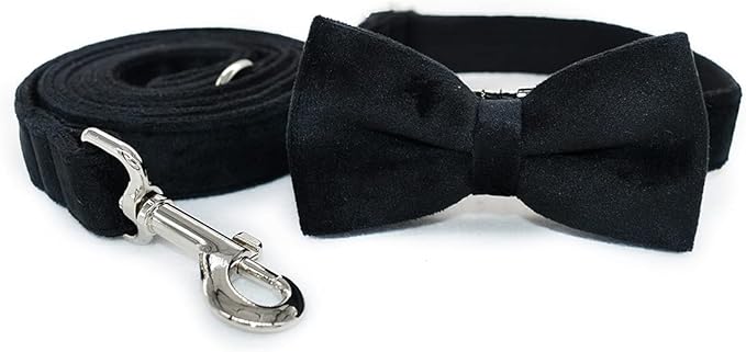 Dog Collar Custom Personalized Engraved Name and Phone Number for Puppy Small Medium Large Pets (XL, Black)