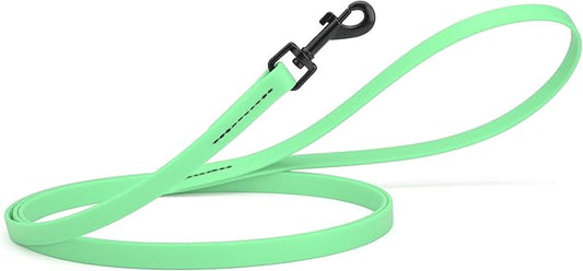 Dogline Biothane Waterproof Dog Leash Strong Coated Nylon Webbing with Black Hardware Odor-Proof Easy to Clean High Performance for Small or Large Dogs Made in USA 4 or 6 ft Lead, Sea Foam Green