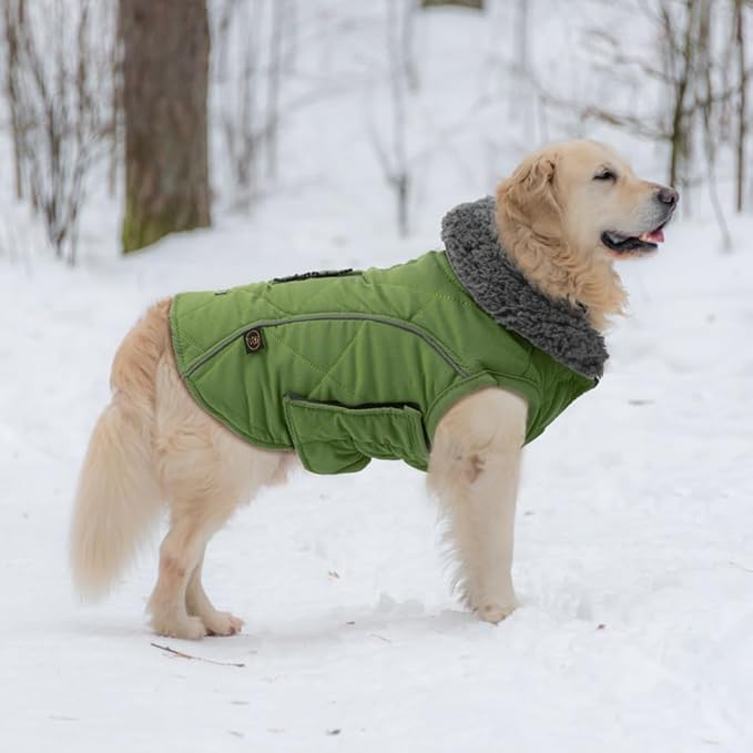 EMUST Dog Jacket - Winter Coats for Small/Medium/Large Dogs, French Bulldog Clothes, Green, XL