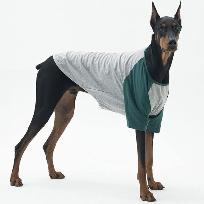 Dog Shirt for Small and Large Dogs Raglan Cotton T-Shirts Soft Breathable Dog Shirts pet Clothes Gray Series (X-Large, Gray/Green)
