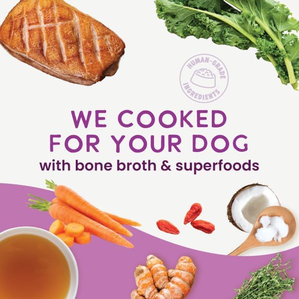 Health Extension Gently Cooked Grain-Free Duck & Kale Dog Food, Human-Grade & Shelf-Stable with Superfoods, Supports Digestion, Immunity, Skin & Coat, 3 oz Pouch (Pack of 10)