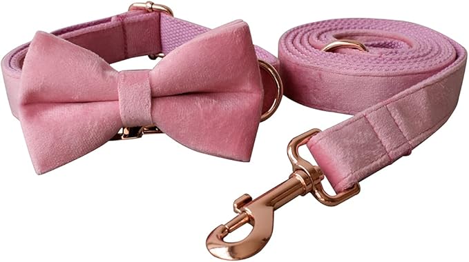 Dog Collar Custom Personalized Engraved Name and Phone Number for Puppy Small Medium Large Pets (M, Pink)