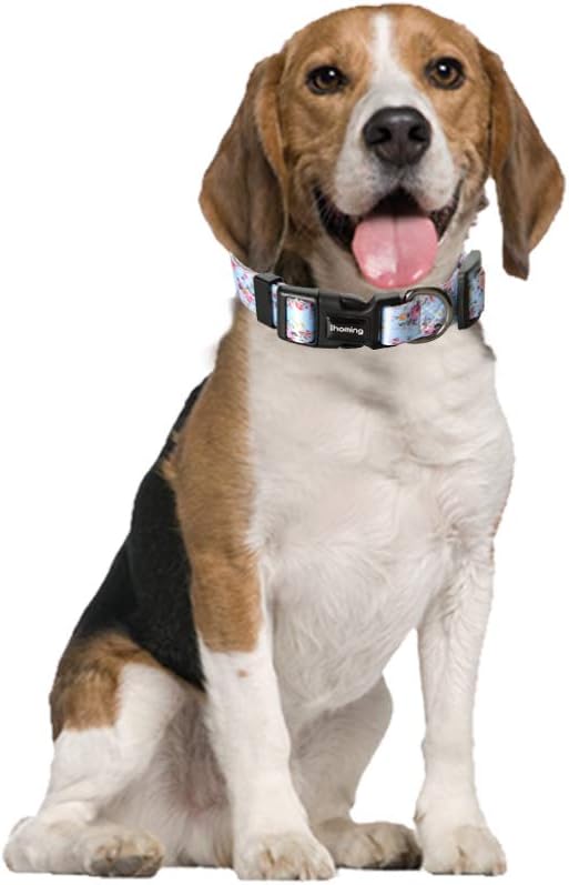 Ihoming Puppy Collar and Leash Set for Daily Outdoor Walking Running Training, Floral Sky Design for Extra Small Boys Girls Dogs Cats Pets, XS-Up to 10LBS