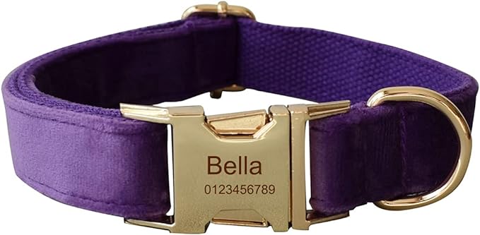 Dog Collar Custom Personalized Engraved Name and Phone Number for Puppy Small Medium Large Pets (M, Purple)