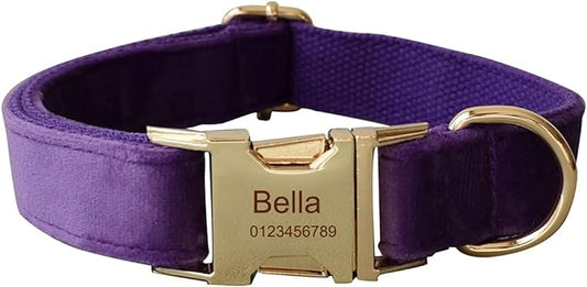 Dog Collar Custom Personalized Engraved Name and Phone Number for Puppy Small Medium Large Pets (M, Purple)