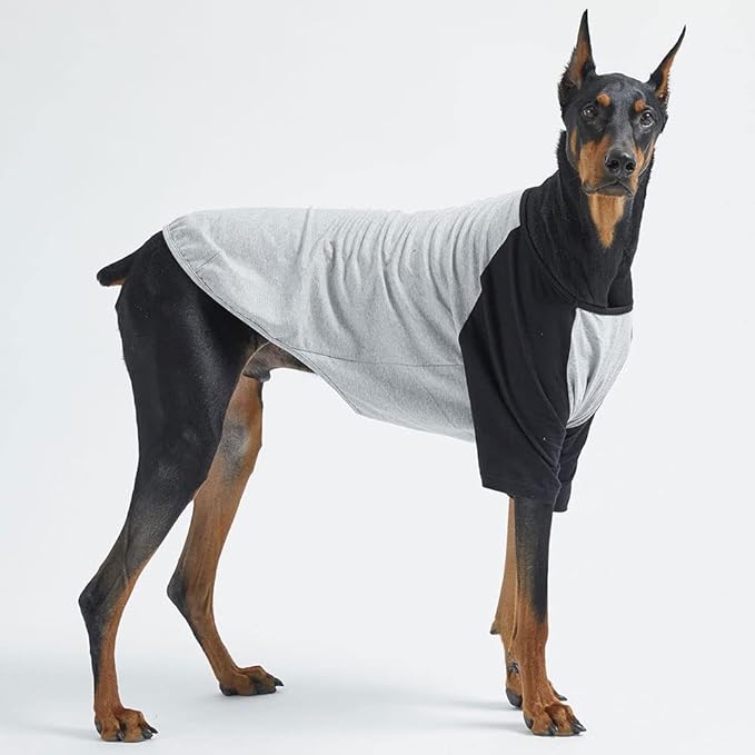 Dog Shirt for Small and Large Dogs Raglan Cotton T-Shirts Soft Breathable Dog Shirts pet Clothes Gray Series (X-Large, Gray/Black)