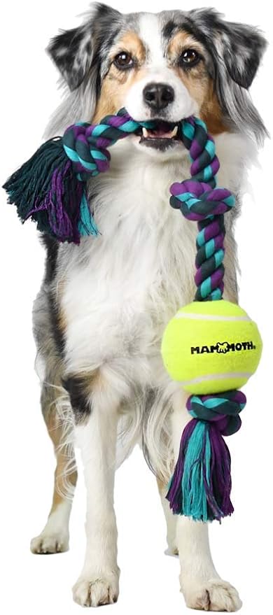 Mammoth Flossy Chews Color 3 Knot Tug w/Standard Tennis Ball – Premium Cotton-Poly Tug Toy for Dogs, Interactive Rope Dog Toy for Medium Dogs - 20” , Multi color