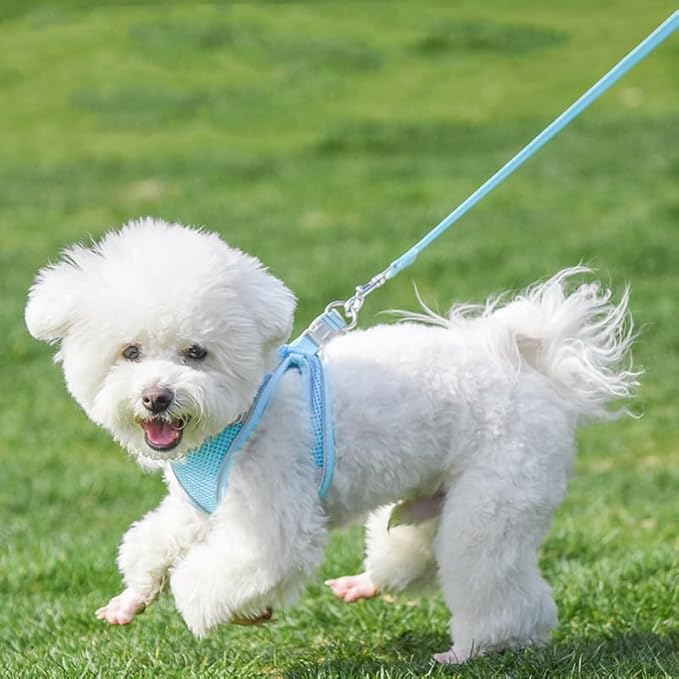 AIITLE Dog Harness, Summer No-Pull Cat Harness with a Leash, Adjustable Reflective Dog Vest, Cat Harness Escape Proof, Outdoor Walking, Camping for Extra Small Dogs and House Cats Pure Blue XXXS