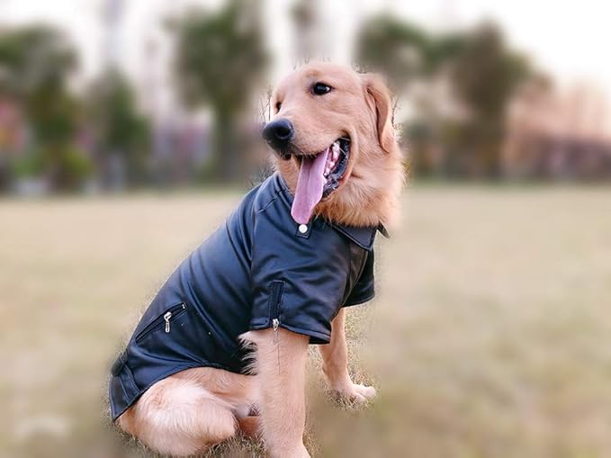 Lovelonglong Cool Dog Leather Jacket, Warm Coats Dogs Windproof Cold Weather Coats for Large Medium Small Dogs, Yorkshire Terrier Clothing Black S