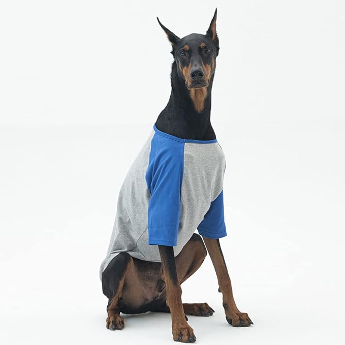 Dog Shirt for Small and Large Dogs Raglan Cotton T-Shirts Soft Breathable Dog Shirts pet Clothes Gray Series (3X-Large, Gray/Blue)