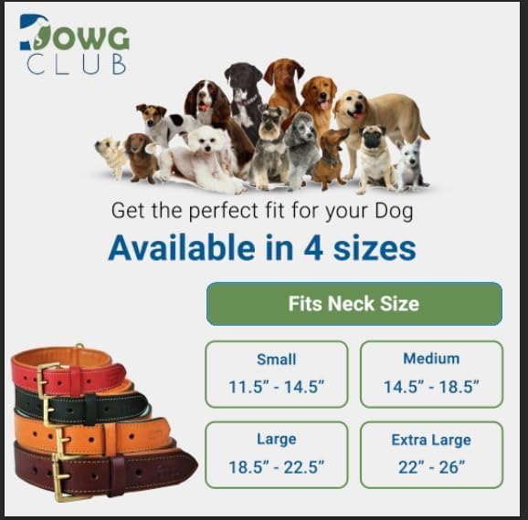 Genuine Leather Dog Collar | Full Grain, Heavy Duty, Comfortable, Padded, Strong | Best for Pups, Small, Medium, Large & XL Breeds (Small (Fit Neck Size 11.5"-14.5"), Teal Green)