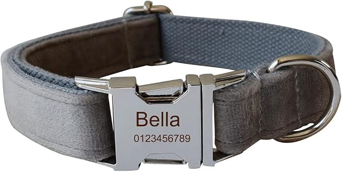 Dog Collar Custom Personalized Engraved Name and Phone Number for Puppy Small Medium Large Pets (M, Grey)