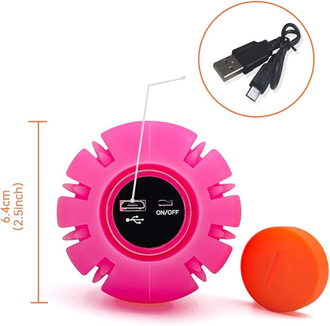 LaRoo LED Dog Balls Rechargeable,Light up Dog Ball Glow in The Dark,Teeth-Cleaning Natural Rubber,Interactive Dog Toys for Small & Medium Dogs,2.5 inches(Purple)