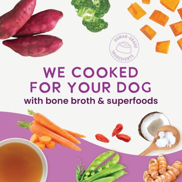 Health Extension Gently Cooked Grain-Free Vegetarian Formula Dog Food, Human-Grade & Shelf-Stable with Superfoods, Supports Digestion, Immunity, Skin & Coat, 3 oz Pouch (Pack of 20)