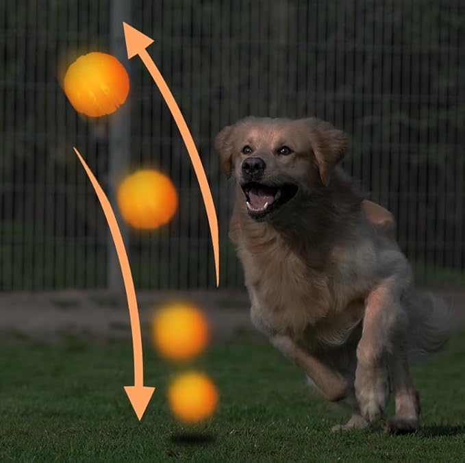 LaRoo LED Dog Ball, Silicon Glowing Dog Toy Ball at Night with USB Rechargeable, Water Resistant Light Up Interactive Dog Tennis Balls for Outdoor Playing