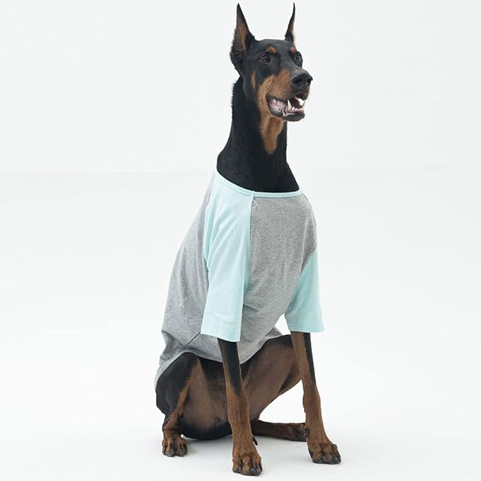 Dog Shirt for Large Dogs, Grey, X-Large, Raglan Cotton T-Shirt