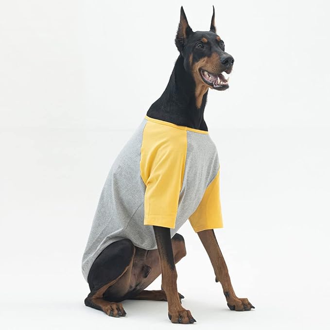 Dog Shirt for Small and Large Dogs Raglan Cotton T-Shirts Soft Breathable Dog Shirts pet Clothes Gray Series (2X-Large, Gray/Yellow)